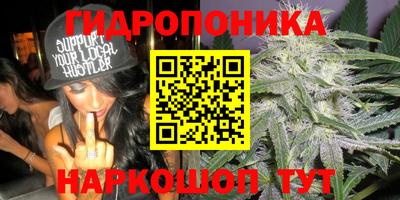 шишки Комсомольск-на-Амуре
