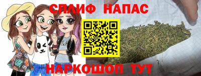 прущие грибы Краснодар