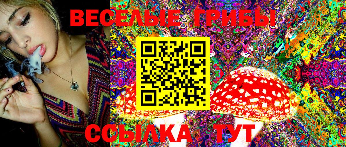 Галлюциногенные грибы GOLDEN TEACHER Костомукша
