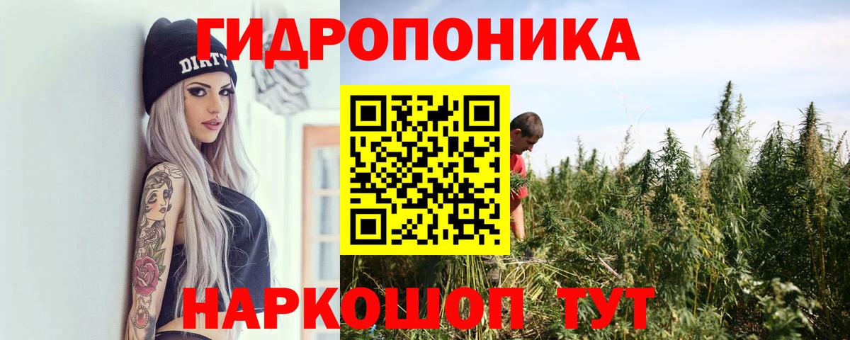 МАРИХУАНА индика  Шишки марихуана планчик  Вход с VPN  Костомукша  Бошки Шишки планчик 